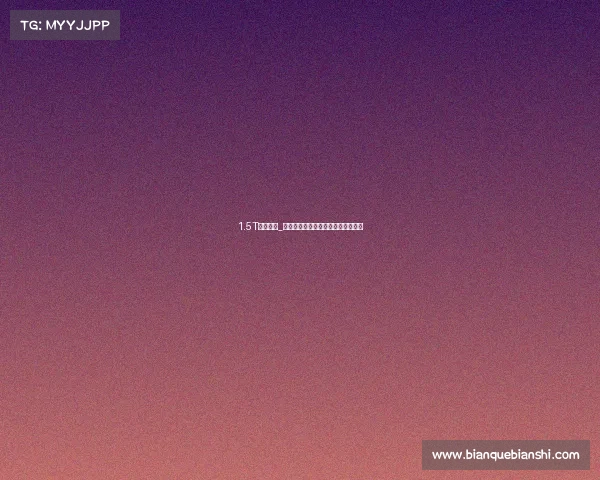 1.5T插混首搭_插混四驱!新款大众迈特威官图发布 1.5T插混首搭_插混四驱!新款大众迈特威官图发布